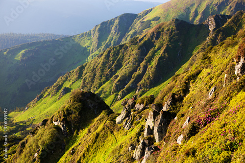 Eastern Carpathians in summer