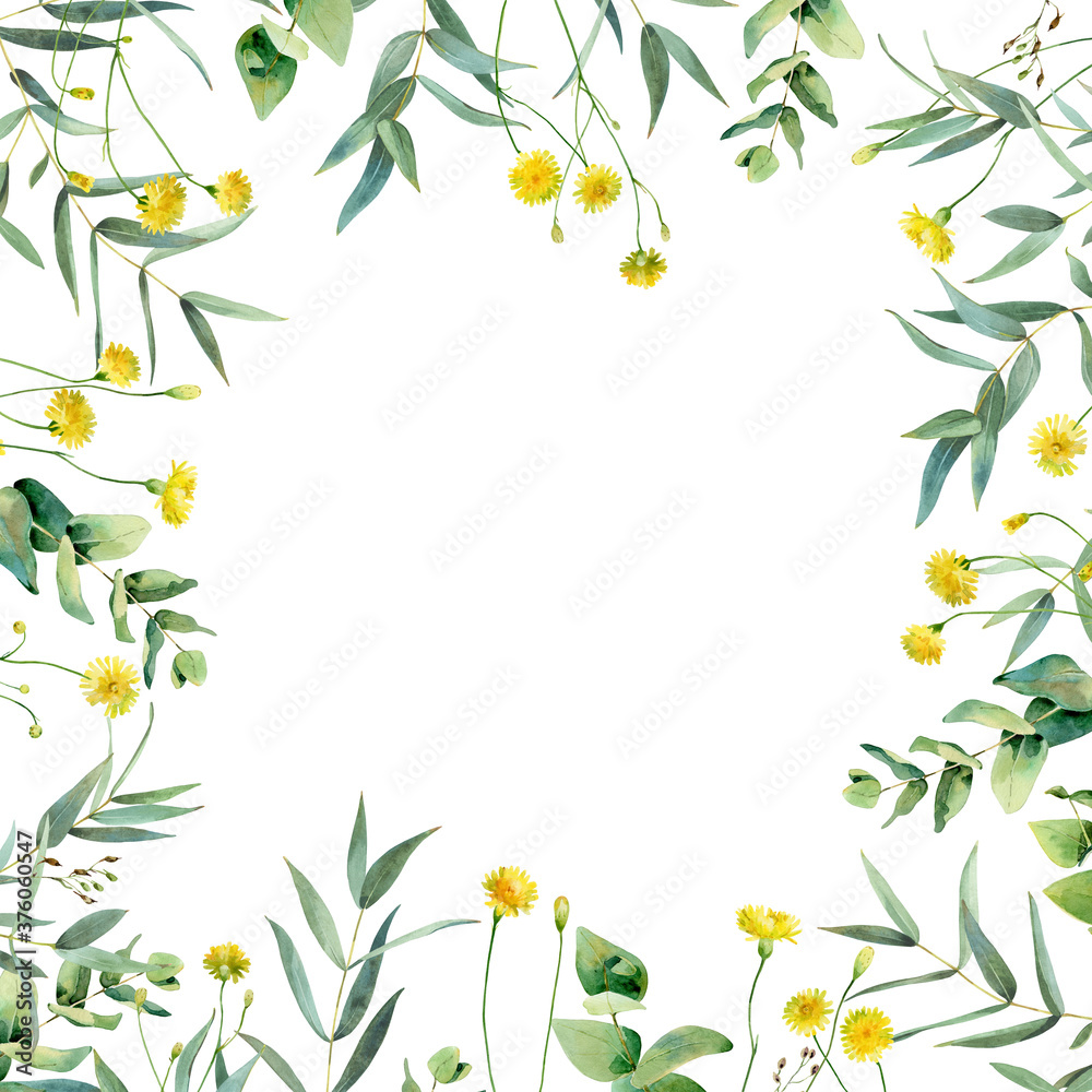 Watercolor background of eucalyptus leaves and dandelion flowers