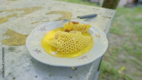 Raw honey with honeycomb from the beehive photo