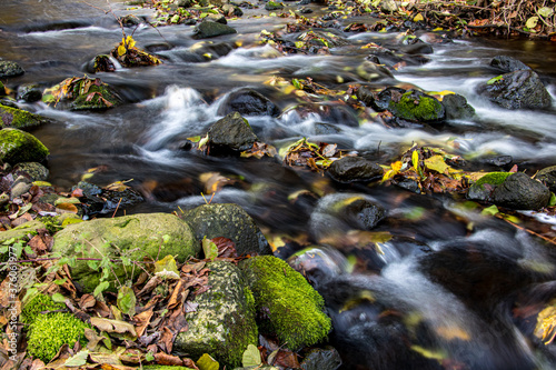 Fotografia A water cascade in autumn creek with fallen leaves