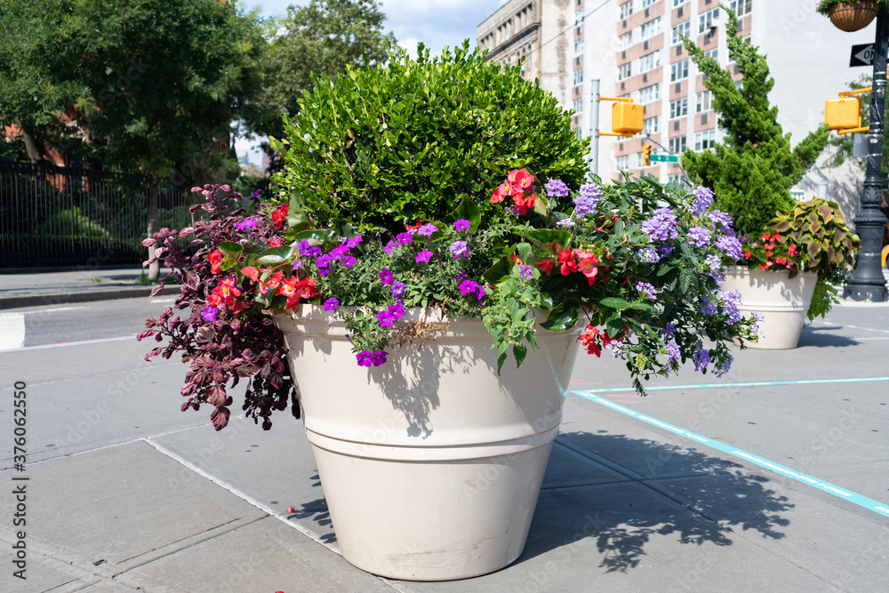 Beautiful Large Flower Pot along the Street in Greenwich Village of New York City with Colorful Flowers during Summer