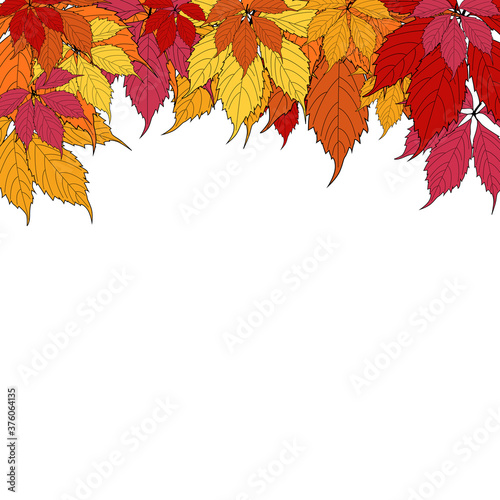 Autumn Background Template with leaves. Special offer. Limited Time. Vector Illustration