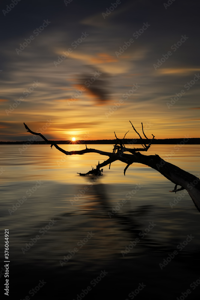 Schöner Sonnenuntergang mit Baum im Wasser