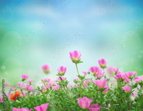 World Environment Day concept: Beautiful floral spring abstract background of nature
