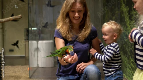 family feeding parrots at zoo. Mother with cute daughter and son. Gimbal motion