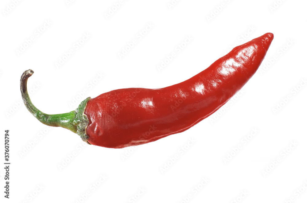 Chili pepper isolated on a white background Chili pepper isolated on a white background