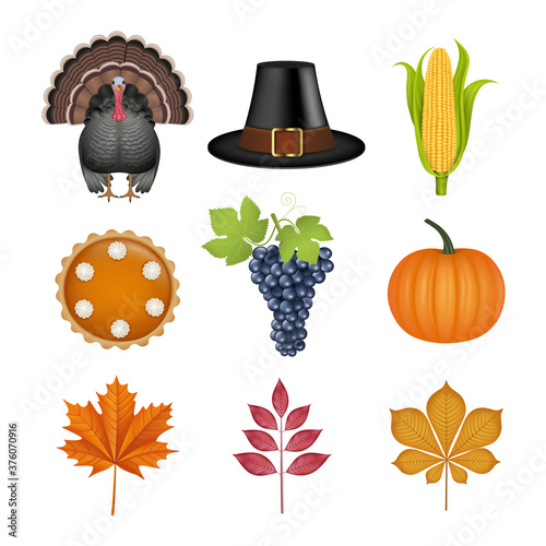 set of thanksgiving elements. isolated turkey, pilgrim hat, corn cob, pumpkin pie, grapes, pumpkin and fall leaves illustration