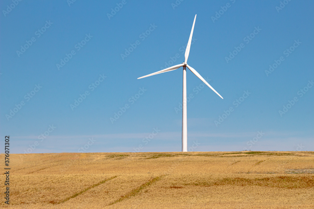 A wind tower turbine electricity gererator, renewable energy source on a farm field. A wind tower turbine electricity gererator, renewable energy source on a farm field.