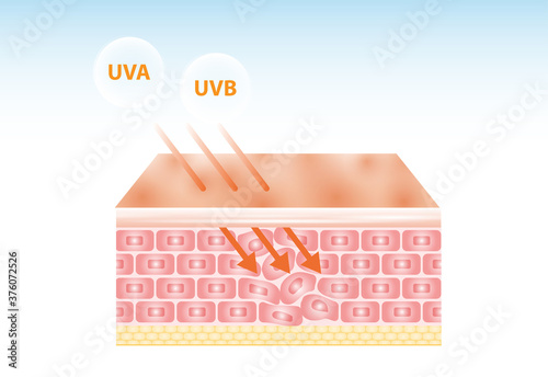 UV reflection skin after protection vector design.