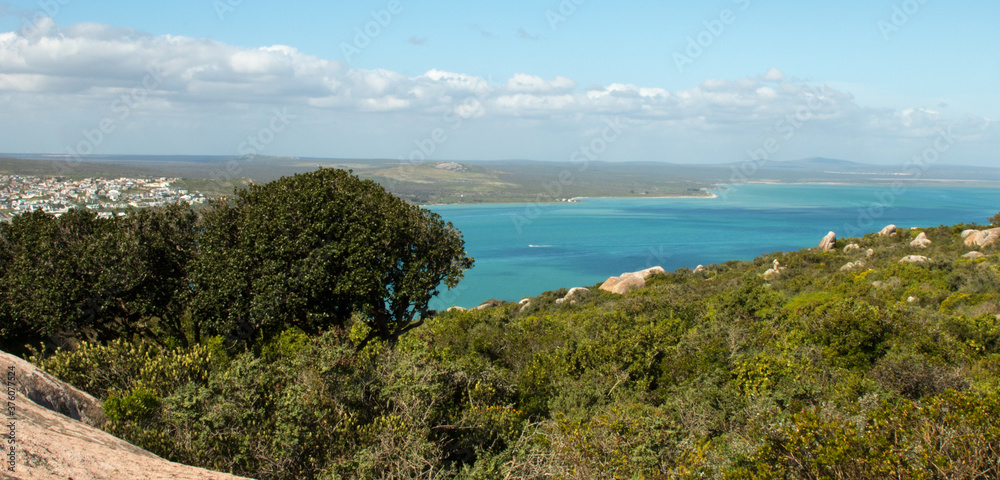 Trees and turquoise unspoiled wild lake or bay Trees and turquoise unspoiled wild lake or bay