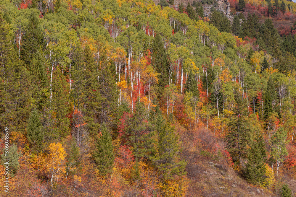 Scenic Landscape of the Snake River Canyon Idaho in Autumn Scenic Landscape of the Snake River Canyon Idaho in Autumn
