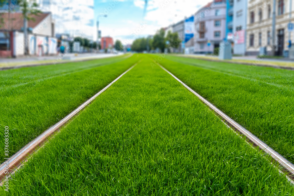 Green track. Grass covered tramway track. Greenery in the city. Habitable zone reduce urban heat. Island effect.