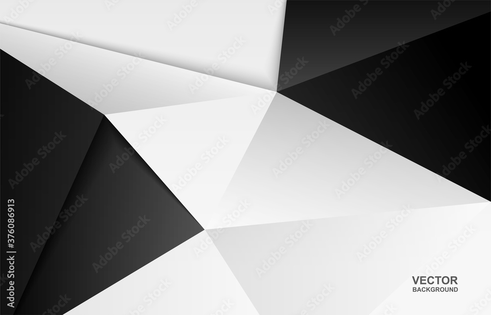 Abstract .Modern background. black-white  polygon background. vector.