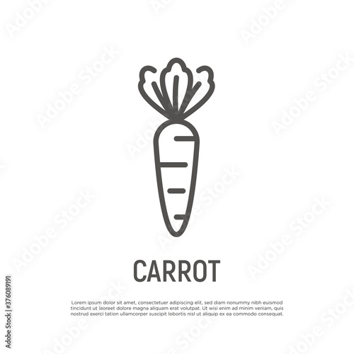 Carrot thin line icon. Healthy organic food. Vector illustration.