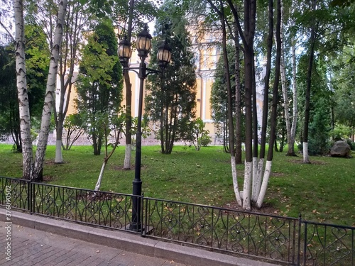 garden