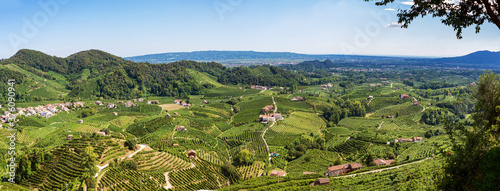 Valdobbiadene Treviso, Italy: hills and vineyards