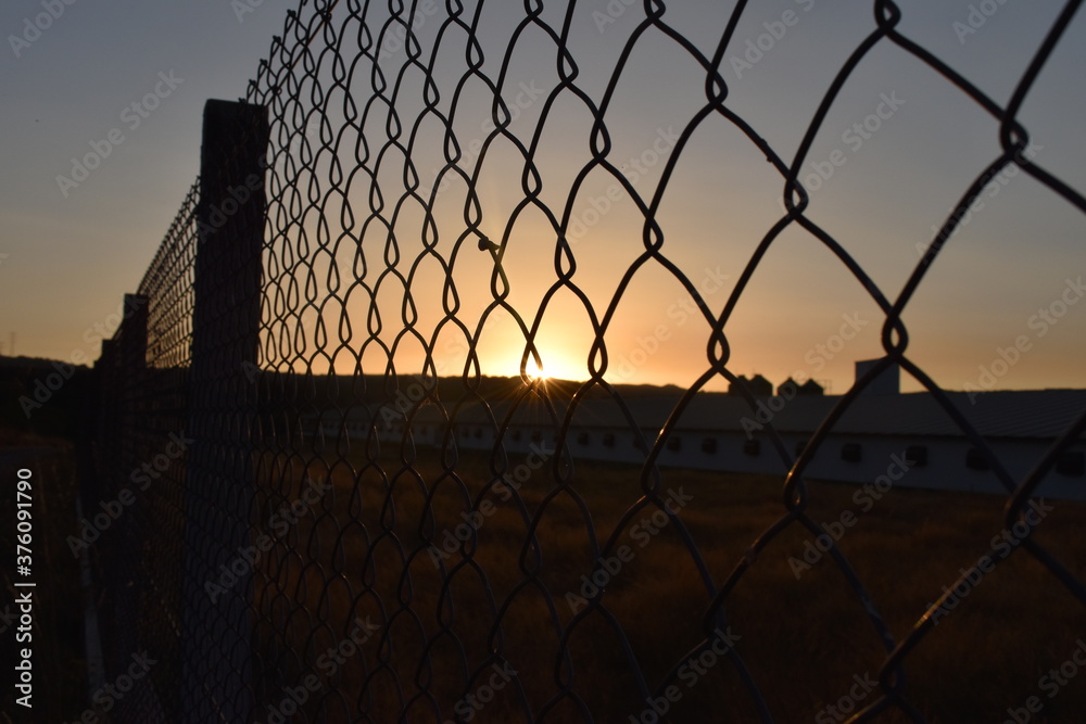 Farm seen through a fence with a sunset