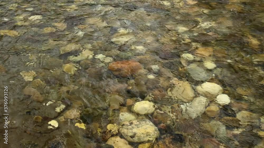 View into a clear fast moving mountain stream with water flowing over multicolored rocks. The surface of the water locally reflects a bright sky.
View into a clear fast moving mountain stream with water flowing over multicolored rocks. The surface of the water locally reflects a bright sky.