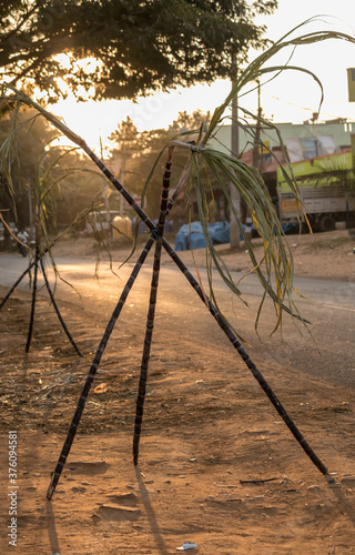 Sugarcane displayed on a road side market 