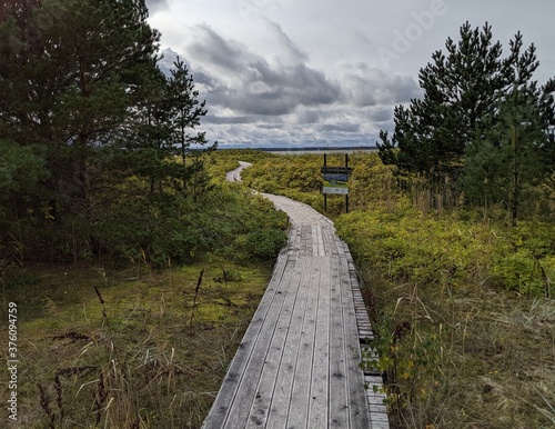Wooden path through the swamp on the cloudy day
