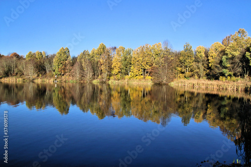 reflection of trees in water at Alderford Lake in the Autumn