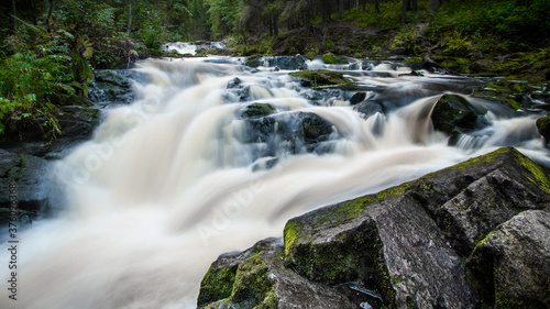 waterfall in the forest
