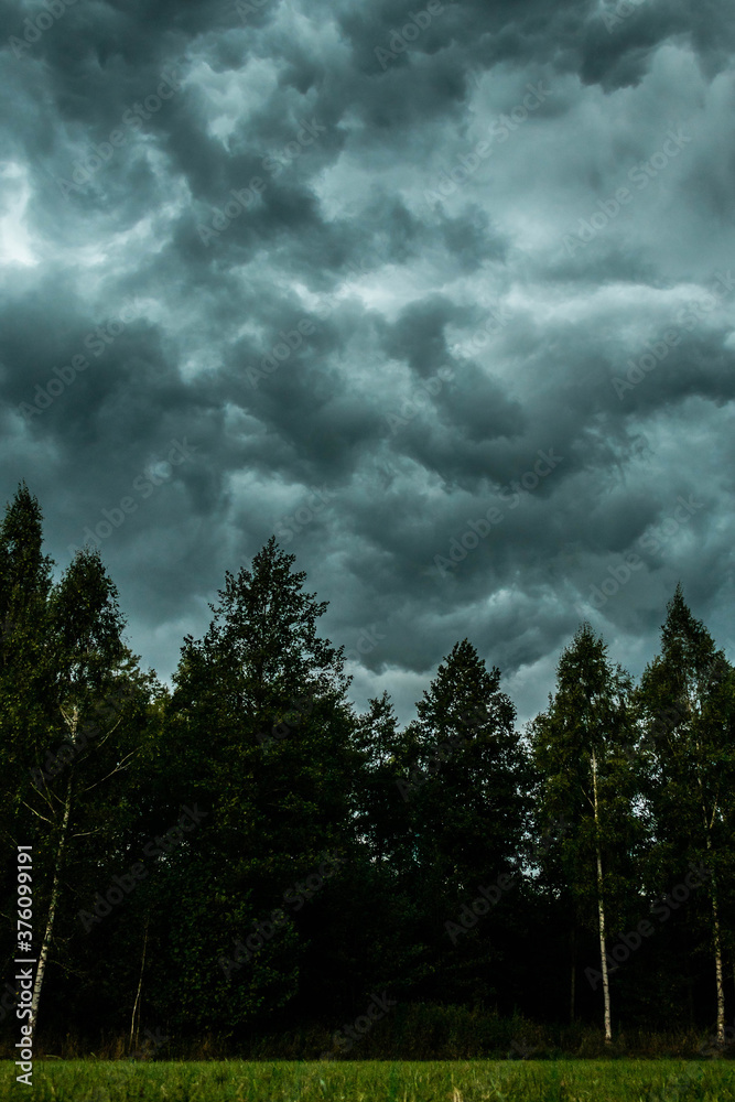 menacing and impressive storm clouds over the green, wild forest
menacing and impressive storm clouds over the green, wild forest