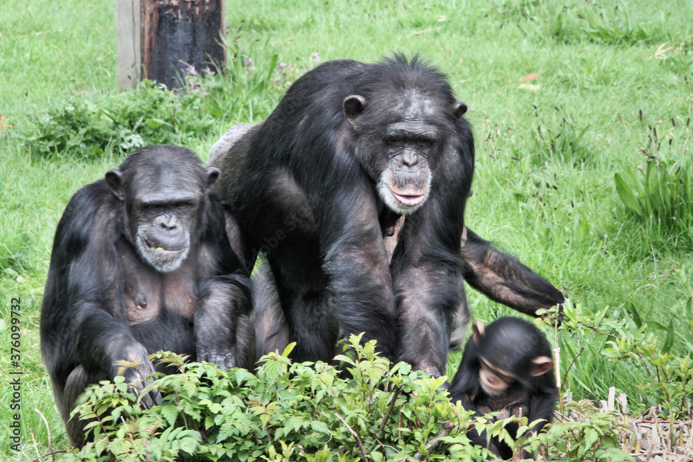 mother and baby