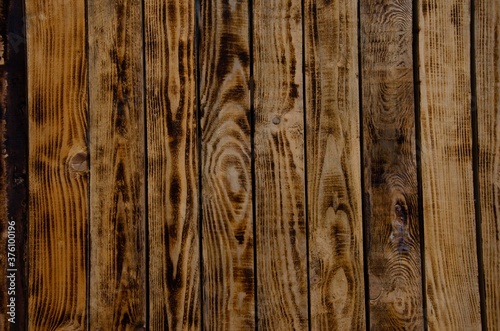 The texture of burnt wood. Pine wood background.