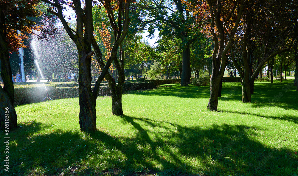bright day in the city Park, green grass lawn and trees, watering plants