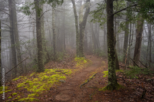 Fog Covers Ridge Top Trail © kellyvandellen