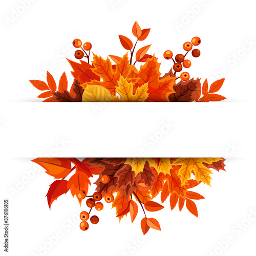 Vector banner with orange autumn leaves.