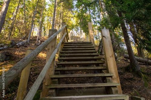 Wooden stairs in the Gauja national park