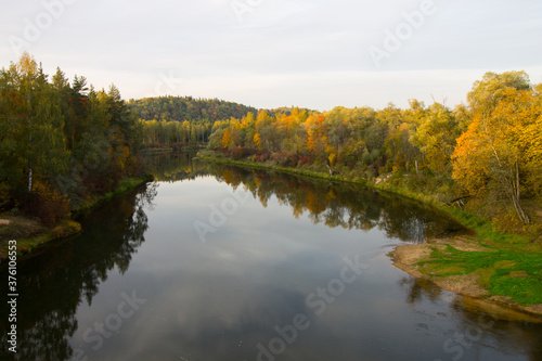 Autumn view yellow leaves and the river in Gauja National park.