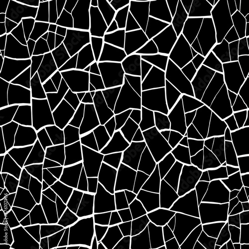 The cracks texture white and black. Vector background. Cracked earth. Structure of cracking.  shards