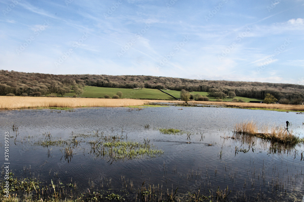 Leighton Moss Nature Reserve