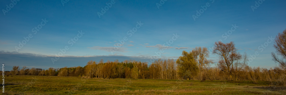 deciduous forest in the meadow against the blue sky, panoramic landscape. Web banner.