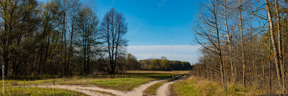 Dirt road among deciduous forest, panoramic landscape. Web banner.