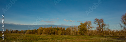 deciduous forest in the meadow against the blue sky, panoramic landscape. Web banner.