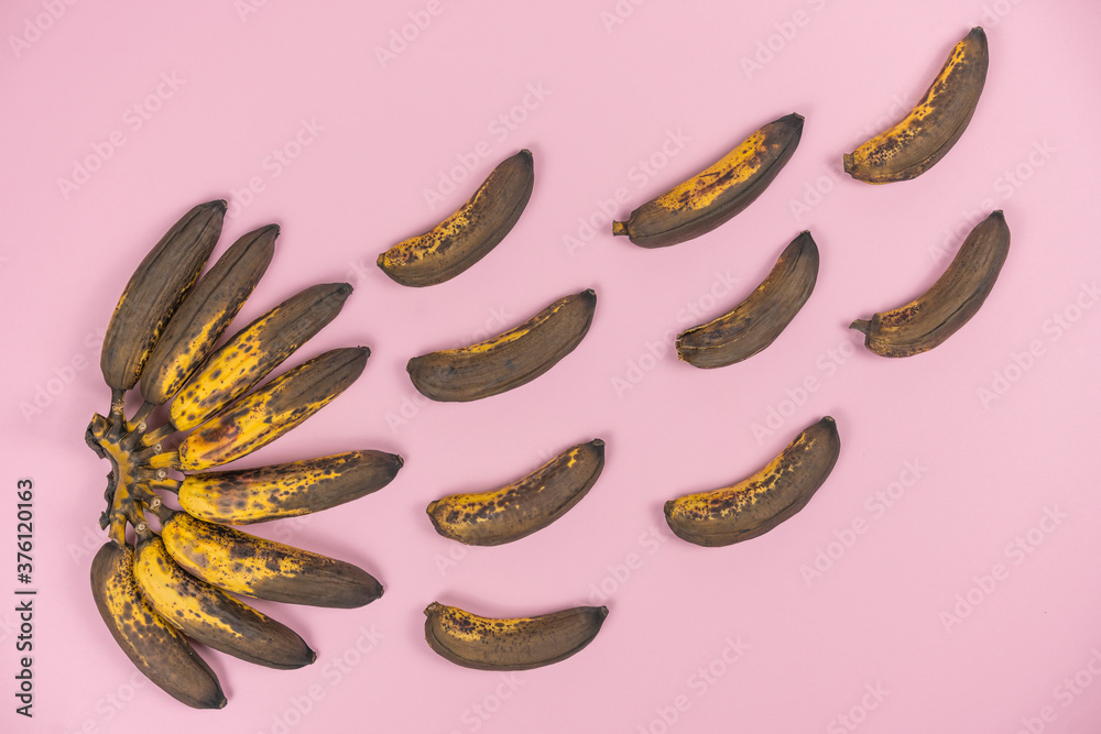 bunch of overripe spoiled mini-bananas on a pale pink background. bunch of overripe spoiled mini-bananas on a pale pink background.