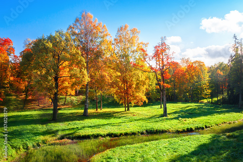 Fototapeta Naklejka Na Ścianę i Meble -  Autumn landscape