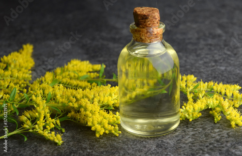 Golden Rod oil  prepared from organically grown and wild-crafted herbs