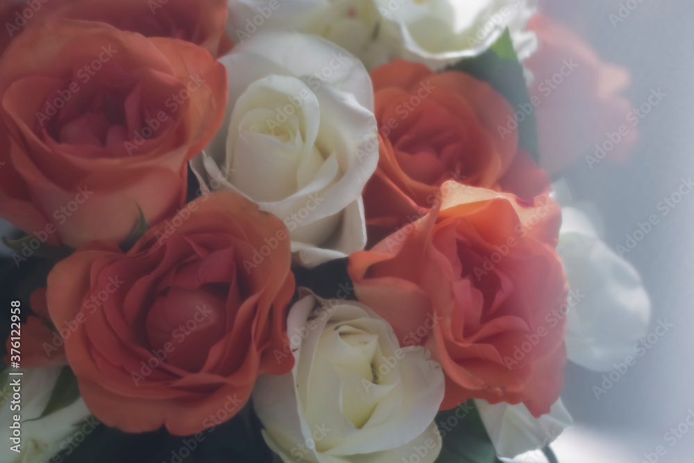 Fototapeta premium Beautiful bouquet of roses with gifts and cafe.On a white background a beautiful bouquet of colorful roses.