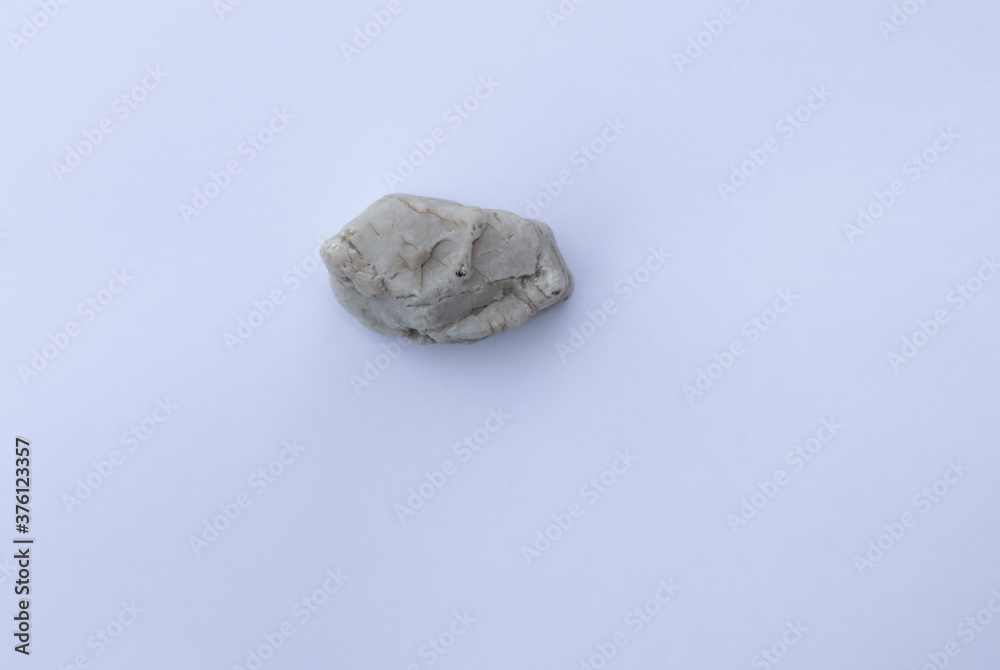gneiss rock specimen on white background. gneiss is metamorphic rocks.Stone on white background gneiss rock specimen on white background. gneiss is metamorphic rocks.Stone on white background
