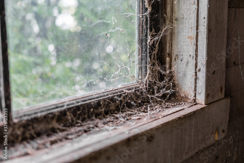 Spider webs on an old window sill. Wood window frame covered in cob webs and dirt. Rustic abandoned building and vintage concept