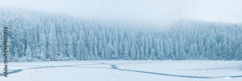 Fozen lake and Winter Forest with trees covered with snow photo