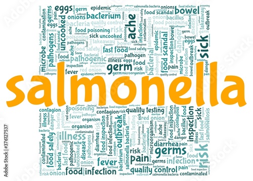 Salmonella vector illustration word cloud isolated on a white background.