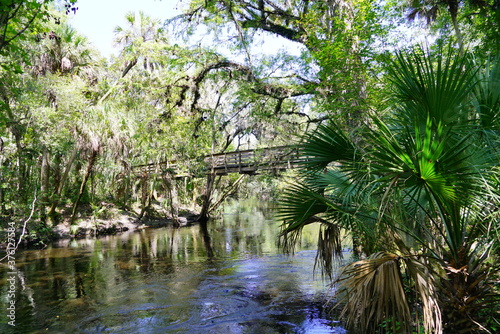 Hillsborough river state park at Tampa  Florida 