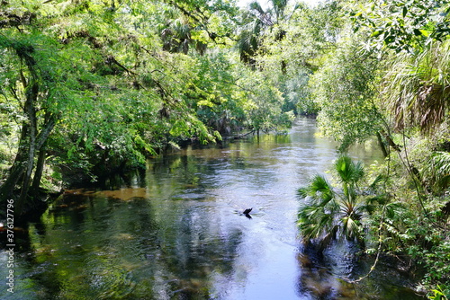 Hillsborough river state park at Tampa, Florida 