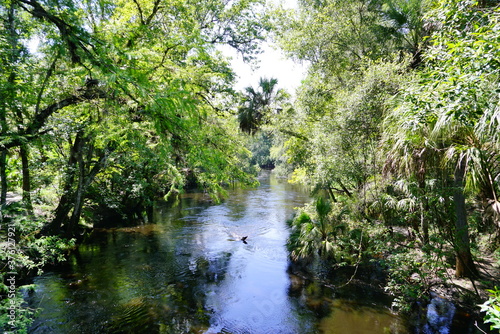 Landscape of Hillsborough river state park at Tampa  Florida